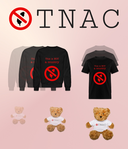 Présentation des trois articles de la collection TNAC, un t-shirt, un pull et un ours en peluche qui porte un t-shirt TNAC.